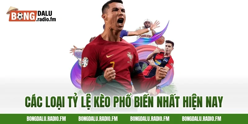Các Loại Tỷ Lệ Kèo Phổ Biến Nhất Hiện Nay