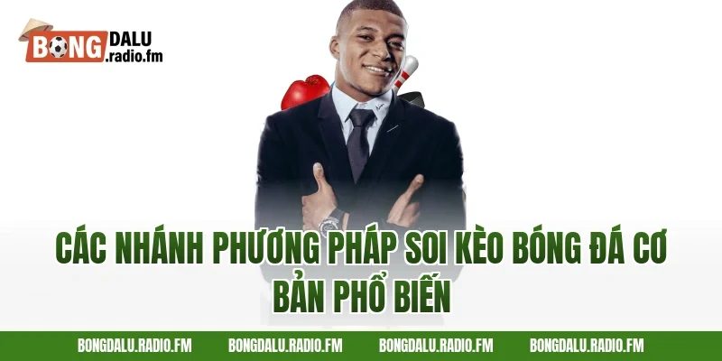 Các nhánh phương pháp soi kèo bóng đá cơ bản phổ biến