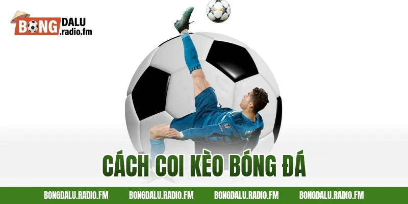 cách coi kèo bóng đá