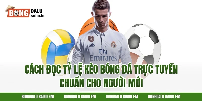 Cách đọc tỷ lệ kèo bóng đá trực tuyến chuẩn cho người mới