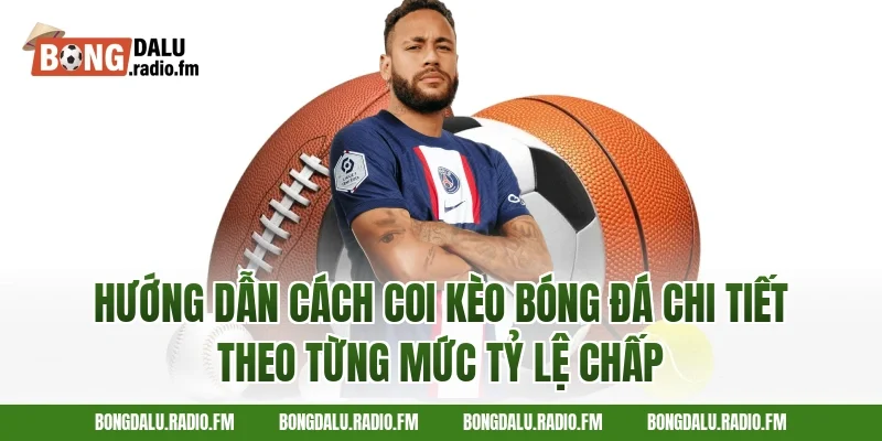Hướng dẫn cách coi kèo bóng đá chi tiết theo từng mức tỷ lệ chấp