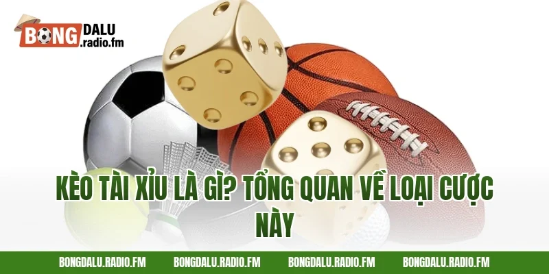 Kèo Tài Xỉu Là Gì? Tổng Quan Về Loại Cược Này
