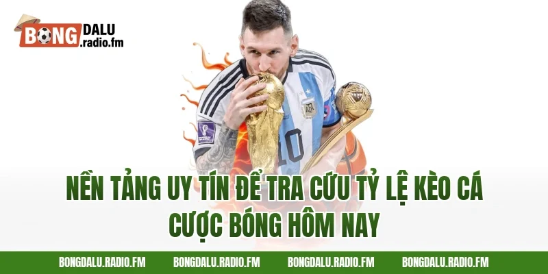 Nền Tảng Uy Tín Để Tra Cứu Tỷ Lệ Kèo Cá Cược Bóng Hôm Nay