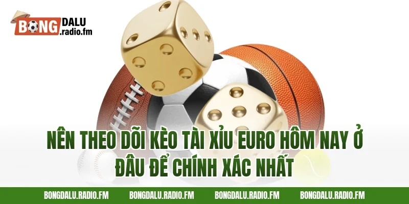 Nên Theo Dõi Kèo Tài Xỉu Euro Hôm Nay Ở Đâu Để Chính Xác Nhất