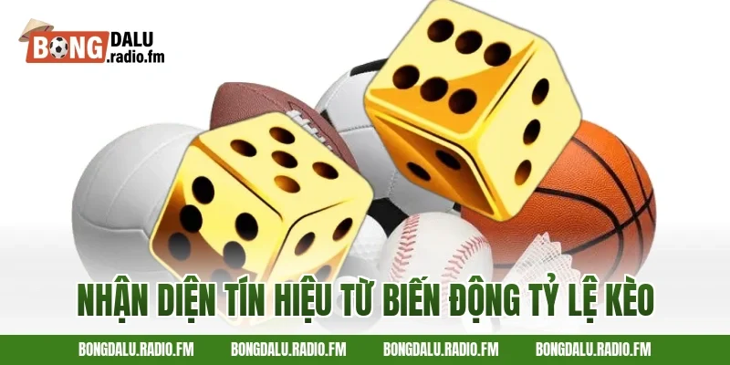 Nhận Diện Tín Hiệu Từ Biến Động Tỷ Lệ Kèo