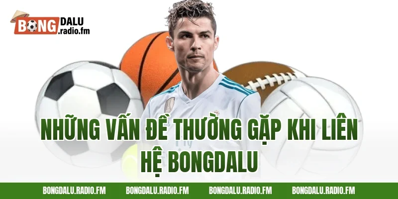 Những Vấn Đề Thường Gặp Khi Liên Hệ Bongdalu