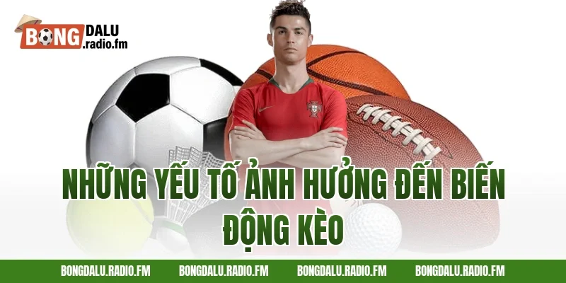 Những Yếu Tố Ảnh Hưởng Đến Biến Động Kèo