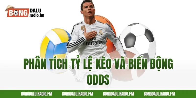 Phân Tích Tỷ Lệ Kèo Và Biến Động Odds