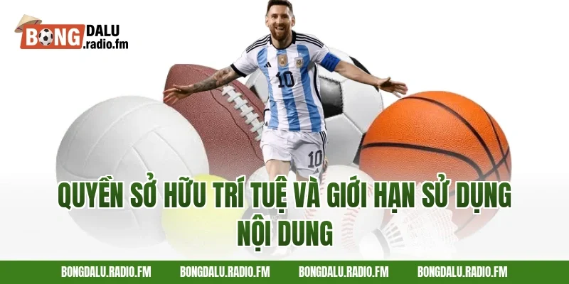 Quyền Sở Hữu Trí Tuệ Và Giới Hạn Sử Dụng Nội Dung