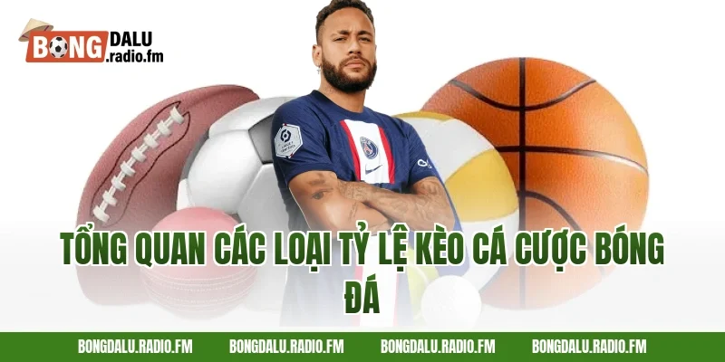 Tổng quan các loại tỷ lệ kèo cá cược bóng đá