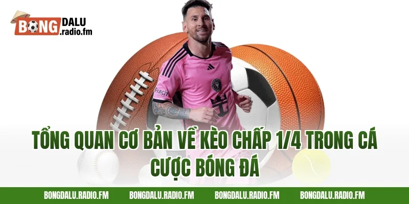 Tổng quan cơ bản về kèo chấp 1/4 trong cá cược bóng đá