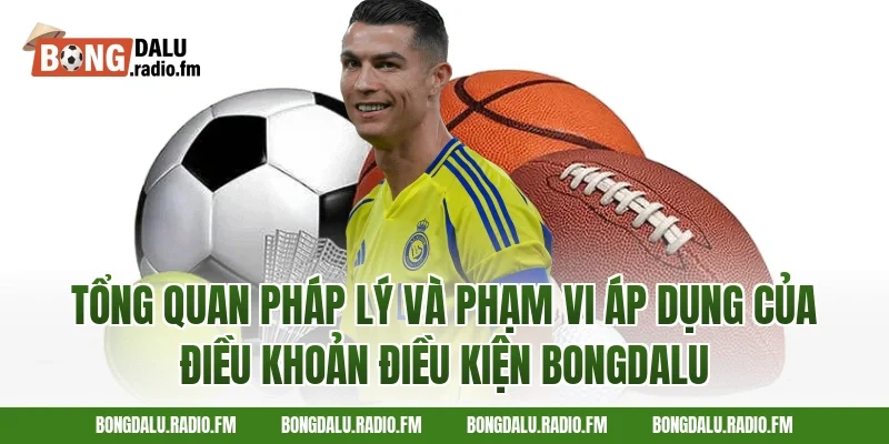 Tổng quan pháp lý và phạm vi áp dụng của điều khoản điều kiện Bongdalu