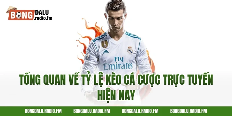 Tổng quan về tỷ lệ kèo cá cược trực tuyến hiện nay