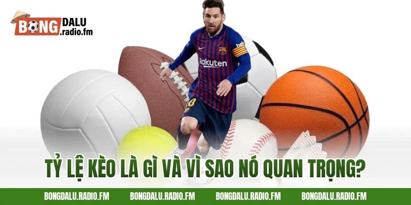 Tỷ Lệ Kèo Là Gì Và Vì Sao Nó Quan Trọng?