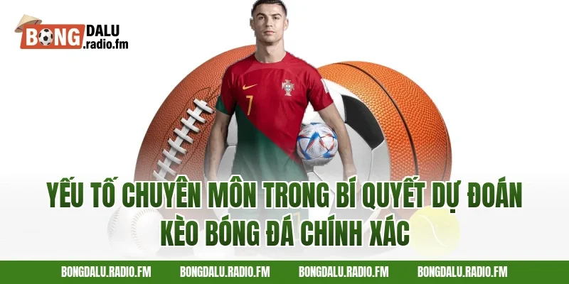 Yếu tố chuyên môn trong bí quyết dự đoán kèo bóng đá chính xác